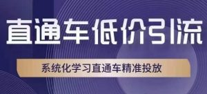 直通车低价引流课，系统化学习直通车精准投放-网络创业副业兼职学习网