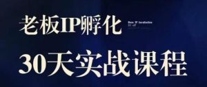 诸葛·2023老板IP实战课,实体同城引流获客,IP孵化必听-网络创业副业兼职学习网