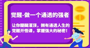 觉醒-做一个通透的强者,让你醍醐灌顶,拥有通透人生的觉醒开悟课,掌握强大的秘密!-网络创业副业兼职学习网