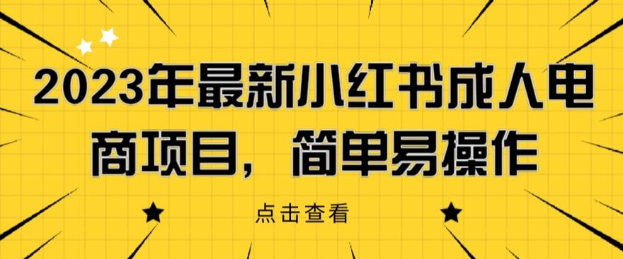 2023年最新小红书成人电商项目，简单易操作【详细教程】【揭秘】-网络创业副业兼职学习网