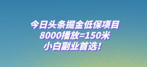 今日头条掘金低保项目,8000播放=150米,小白副业首选【揭秘】-网络创业副业兼职学习网