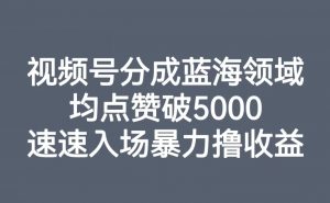 视频号分成蓝海领域，均点赞破5000，速速入场暴力撸收益-网络创业副业兼职学习网