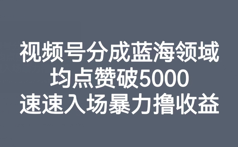 视频号分成蓝海领域，均点赞破5000，速速入场暴力撸收益-网络创业副业兼职学习网