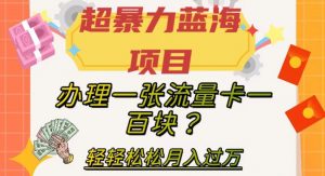 超暴力蓝海项目，办理一张流量卡一百块？轻轻松松月入过万，保姆级教程【揭秘】-网络创业副业兼职学习网