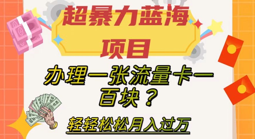 超暴力蓝海项目，办理一张流量卡一百块？轻轻松松月入过万，保姆级教程【揭秘】-网络创业副业兼职学习网