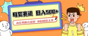 小红书育儿资料，一部手机可操作，多种变现方式，日入500+，私域变现，长期可持续项目【揭秘】-网络创业副业兼职学习网