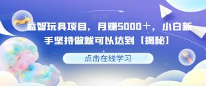 益智玩具项目，月赚5000＋，小白新手坚持做就可以达到【揭秘】-网络创业副业兼职学习网