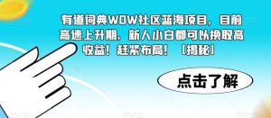 有道词典WOW社区蓝海项目，目前高速上升期，新人小白都可以换取高收益！赶紧布局！【揭秘】-网络创业副业兼职学习网