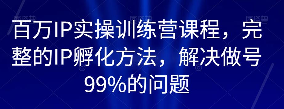 百万IP实操训练营课程，完整的IP孵化方法，解决做号99%的问题-网络创业副业兼职学习网
