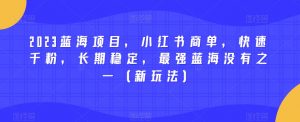 2023蓝海项目,小红书商单,快速千粉,长期稳定,最强蓝海没有之一(新玩法)-网络创业副业兼职学习网
