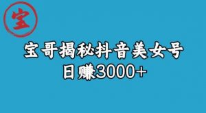 宝哥揭秘抖音美女号玩法,日赚3000+【揭秘】-网络创业副业兼职学习网