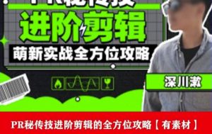 PR进阶剪辑培训班,让你快速成为剪辑大师12节视频课程+素材!-网络创业副业兼职学习网