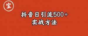 宝哥抖音直播引流私域的6个方法，日引流500+-网络创业副业兼职学习网