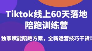 Tiktok线上60天落地陪跑训练营，独家赋能陪跑方案，全新运营技巧干货-网络创业副业兼职学习网