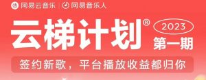 2023年8月份网易云最新独家挂机技术,真正实现挂机月入5000【揭秘】-网络创业副业兼职学习网