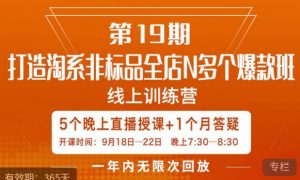 打造淘系非标全店N多个爆款线上课，​5天直播课-网络创业副业兼职学习网