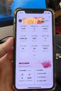 超级蓝海赛道保姆级教学,小红书无货源,无需实拍,如何做到日入1000+【揭秘】-网络创业副业兼职学习网