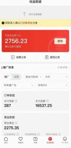 拼多多无人直播不封号玩法，0投入，3天必起，日入1000+-网络创业副业兼职学习网