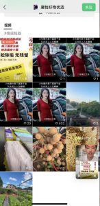 外面收费198的最新视频号连怼技术，条条原创，条条爆单【揭秘】-网络创业副业兼职学习网