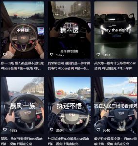 抖音开车视频项目,0基础操作,每天五分钟,月入1W+【揭秘】-网络创业副业兼职学习网