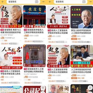 拆解小红书宝宝起名虚拟副业项目，一条龙实操玩法分享给你（教程+软件）-网络创业副业兼职学习网