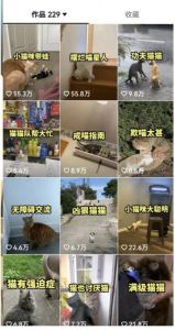 拆解:抖音盘点类中视频变现副业项目,视频版一条龙大解析分享给你-网络创业副业兼职学习网