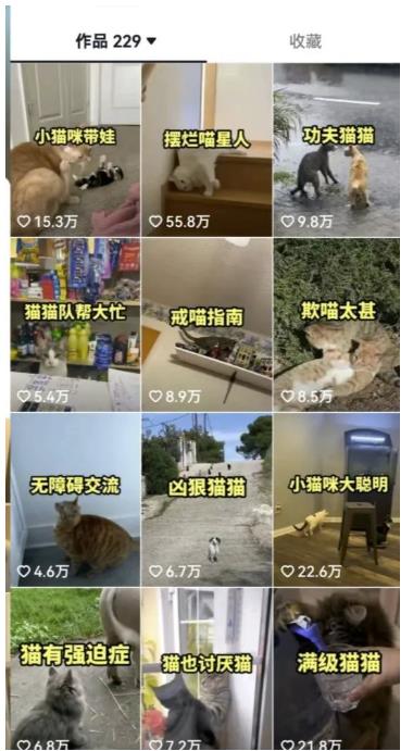 拆解抖音盘点类中视频变现副业项目，视频版一条龙大解析分享给你【视频课程】-网络创业副业兼职学习网