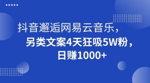 抖音邂逅网易云音乐，另类文案4天狂吸5W粉，日赚1000+【揭秘】-网络创业副业兼职学习网
