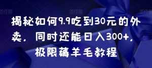 揭秘如何9.9吃到30元的外卖，同时还能日入300+，极限薅羊毛教程-网络创业副业兼职学习网