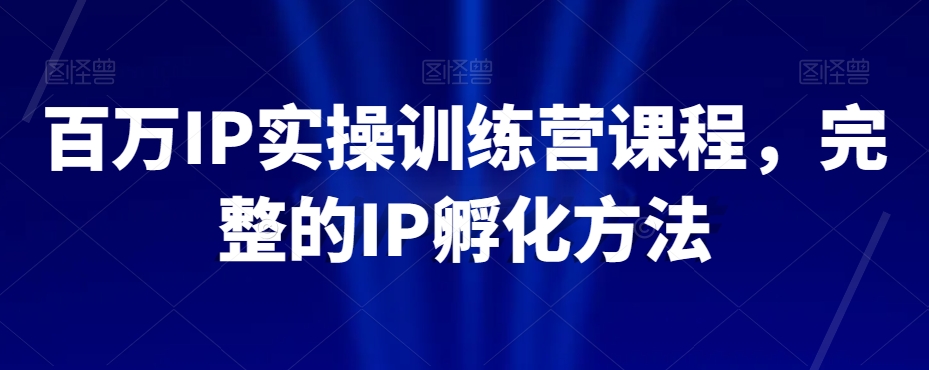 百万IP实操训练营课程，完整的IP孵化方法-网络创业副业兼职学习网