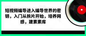 短视频编导进入编导世界的密钥，入门从拆片开始，培养网感，建素素库-网络创业副业兼职学习网
