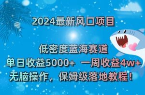 2024最新风口项目,低密度蓝海赛道,单日收益5000+,一周收益4w+!【揭秘】-网络创业副业兼职学习网