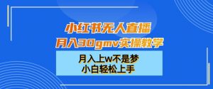 小红书无人直播月入30gmv实操教学，月入上w不是梦，小白轻松上手【揭秘】-网络创业副业兼职学习网