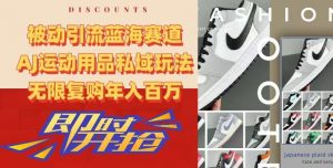 被动引流蓝海赛道，AJ运动用品私域玩法，无限复购年入百万【揭秘】-网络创业副业兼职学习网