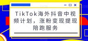 TikTok海外抖音中视频计划，涨粉变现提现陪跑服务-网络创业副业兼职学习网