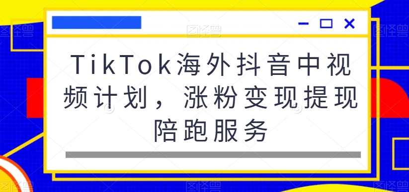 TikTok海外抖音中视频计划，涨粉变现提现陪跑服务-网络创业副业兼职学习网