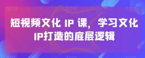短视频文化IP课，学习文化IP打造的底层逻辑-网络创业副业兼职学习网