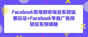 Facebook菜鸟到老鸟全系列运营玩法+Facebook专业广告投放全系列课程-网络创业副业兼职学习网