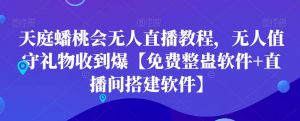 天庭蟠桃会无人直播教程,无人值守礼物收到爆【免费整蛊软件+直播间搭建软件】-网络创业副业兼职学习网