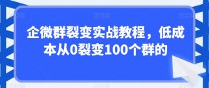 企微群裂变实战教程,低成本从0裂变100个群的-网络创业副业兼职学习网