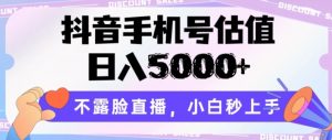抖音手机号估值，日入5000+，不露脸直播，小白秒上手【揭秘】-网络创业副业兼职学习网