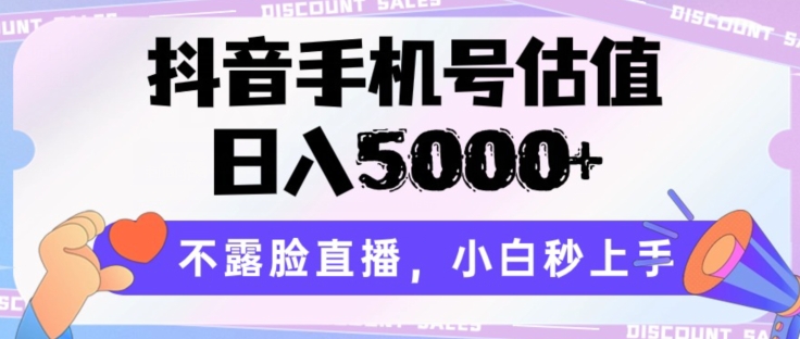 抖音手机号估值，日入5000+，不露脸直播，小白秒上手【揭秘】-网络创业副业兼职学习网