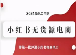 2024新风口电商,小红书无货源电商,带第一批冲进小红书电商风口-网络创业副业兼职学习网