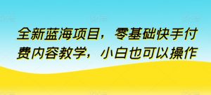 全新蓝海项目,零基础快手付费内容教学,小白也可以操作【揭秘】-网络创业副业兼职学习网
