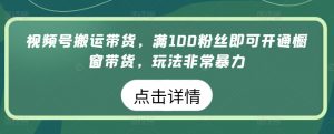 视频号搬运带货，满100粉丝即可开通橱窗带货，玩法非常暴力【揭秘】-网络创业副业兼职学习网