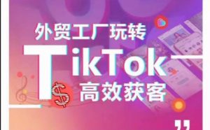 外贸工厂玩转TikTok高效获客,多种引流方式与账号定位技巧,拆解爆款短视频打造成功案例-网络创业副业兼职学习网