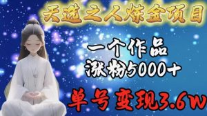 天选之人炼金项目，一个作品涨粉5000+，单号变现3.6w【揭秘】-网络创业副业兼职学习网