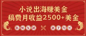 小说出海赚美金，稿费月收益2500+美金，仅需chatgpt粘贴复制，新手也能玩转【揭秘】-网络创业副业兼职学习网
