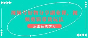 视频号好物分享副业课,视频剪辑带货玩法-网络创业副业兼职学习网