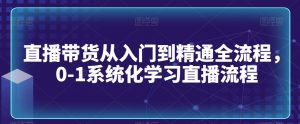 直播带货从入门到精通全流程,0-1系统化学习直播流程-网络创业副业兼职学习网